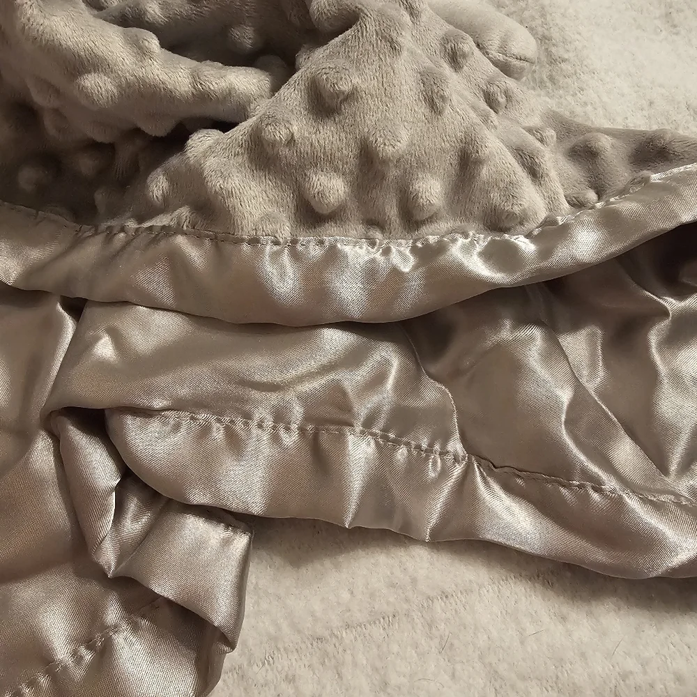 Pro Goleem Elephant Safari Super Soft Security Blanket